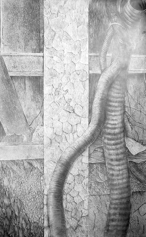 Odonchimeg Davaadorj, Quentin Spohn - Prix Art Absolument@DrawingFactory : Sans titre, 2022, graphite sur papier marouflé sur toile, 195 x 130 cm courtesy Espace A VENDRE
